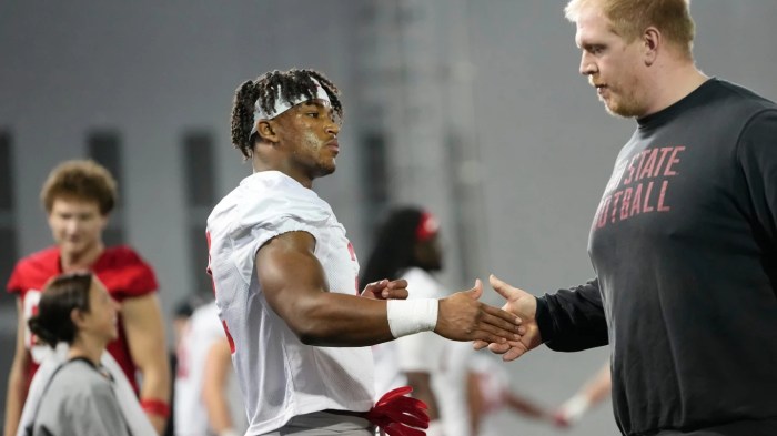 College Football 26 Player Ratings Jeremiah Smith, Caleb Downs