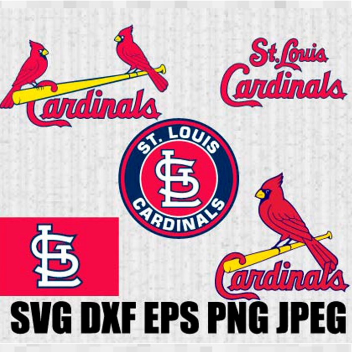 Cardinals jordan walker needs rehab assignment