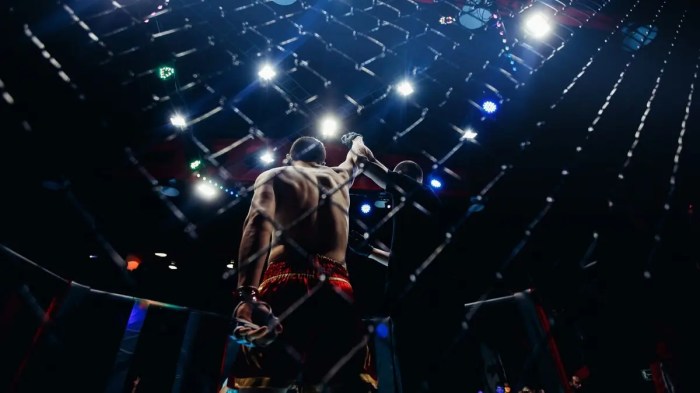 Ufc Fight Schedule Today 2025 Tickets - Zara J Chambers Ufc fight night 255 live winners and losers results