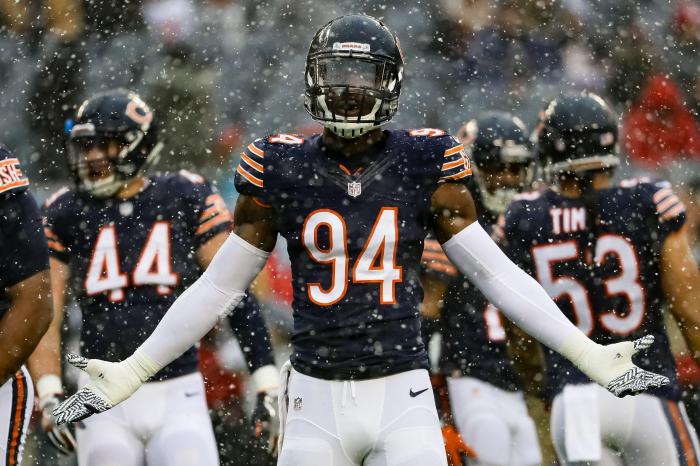 Polar Bears Pictures and Cubs