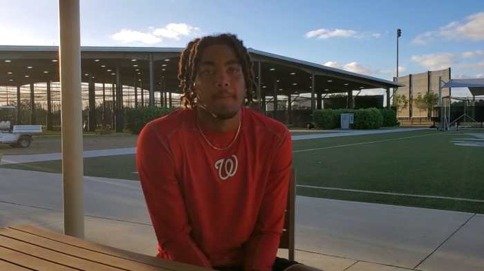Nationals james wood productive in twin bill
