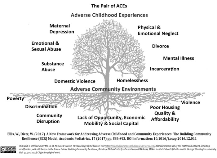 What are Adverse Childhood Experiences (ACEs) and Their Impacts? Aces vs fever odds picks wnba experts share best bets with caitlin clark out