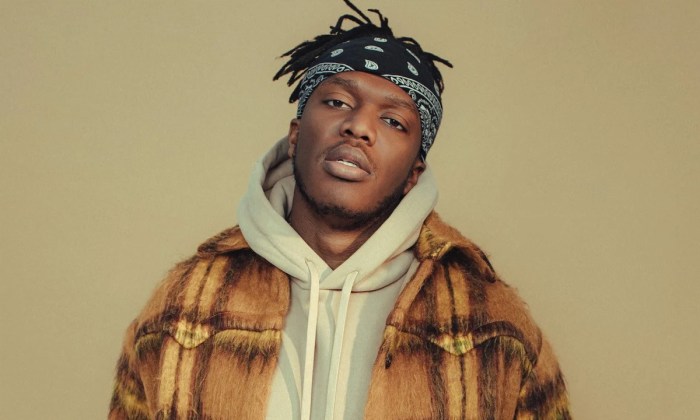 Ksi postpones dillon danis boxing fight due illness new date be announced