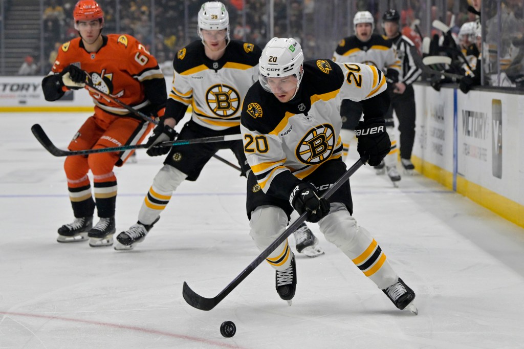 Bruins cooper simpson set for another juniors campaign