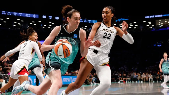 What is the WNBA Commissioner's Cup? Closer look at details, format ... Resilient fever praised hc after wnba commissioners cup win without caitlin clark
