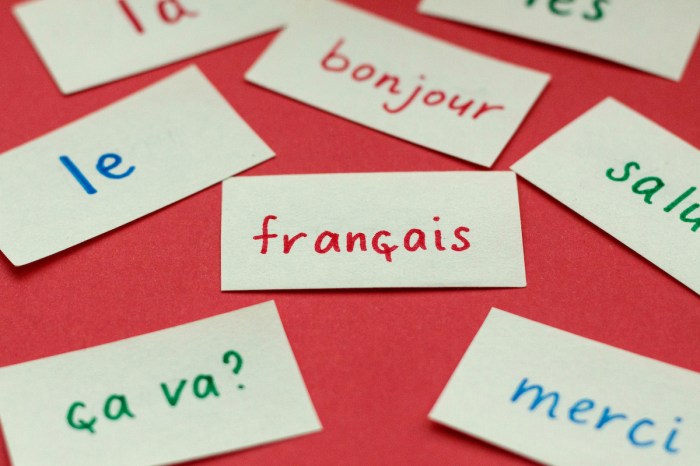 19 Fun Facts About the French Language - Learn Languages From Home French open betting odds revealed novak djokovic more win roland garros