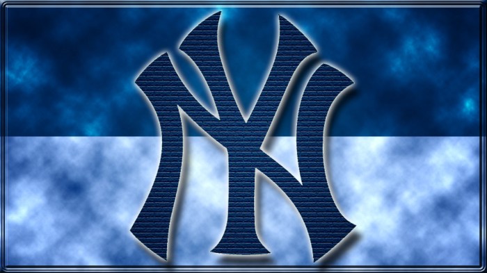 Yankees clarke schmidt lands on injured list