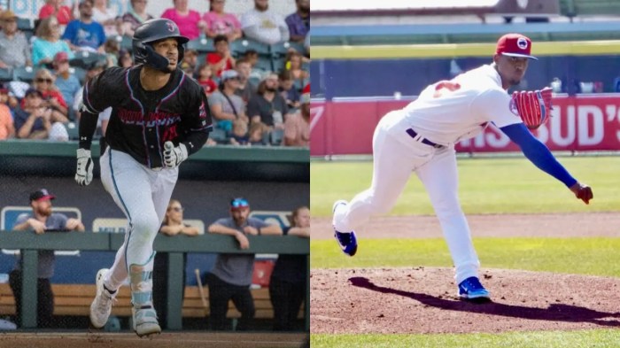 Reds yosver zulueta returned to triple a