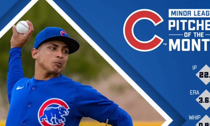 Cubs daniel palencia collects save no 10
