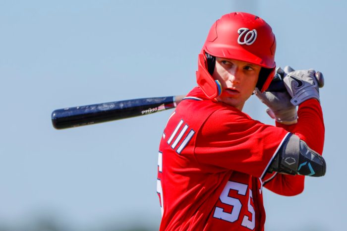 Nationals Andry Lara Returns to Double A
