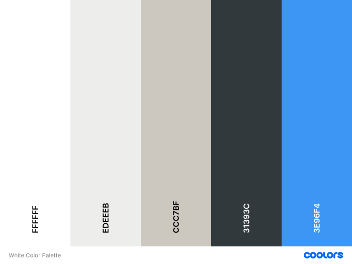 20 Wonderful Facts About The Color White - The Fact Site White soxs kyle teel sitting wednesday