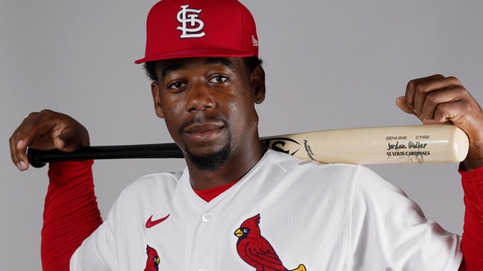 Cardinals andre pallante blanks bucs in no decision