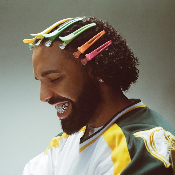 Drake's house music-influenced ‘Honestly, Nevermind' is 11th No. 1 album Drake loses 1m bet blames justin bieber curse maple leafs nhl playoff g7 loss