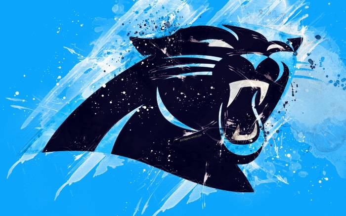 Download Black Carolina Panthers NFL Team Logo Wallpaper | Wallpapers.com Panthers mackenzie entwistle signs two year deal