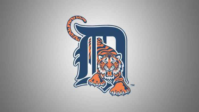 Tigers Dylan Smith Sent Back to Triple A