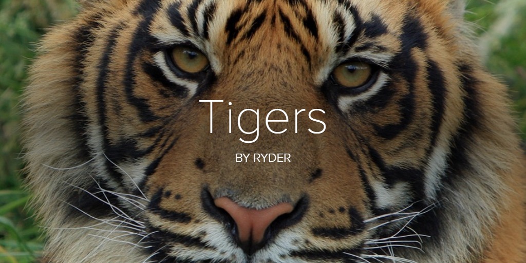 Tigers spencer torkelson productive in twin bill