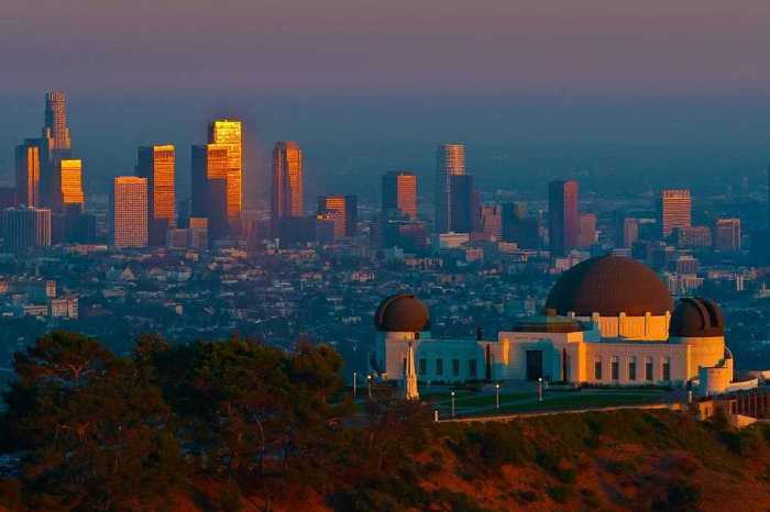 Vantage Hollywood Apartments Los Angeles, CA | Rentable Dodgers max muncy exits with injury