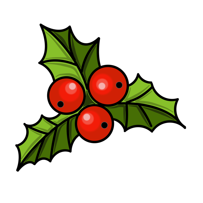 71,000+ Christmas Holly Berries Pictures Holly holm signs contract jake pauls most valuable promotions will fight vega