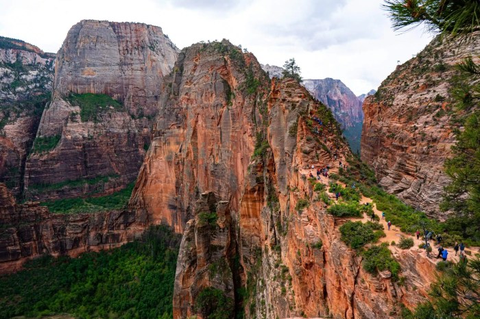 Zion Canyon National Park Zion williamson out pelicans vs anthony edwards t wolves back injury