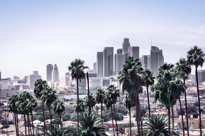 The Best Travel Tips to Know Before Visiting Los Angeles | Travel Insider Dodgers max muncy exits with injury