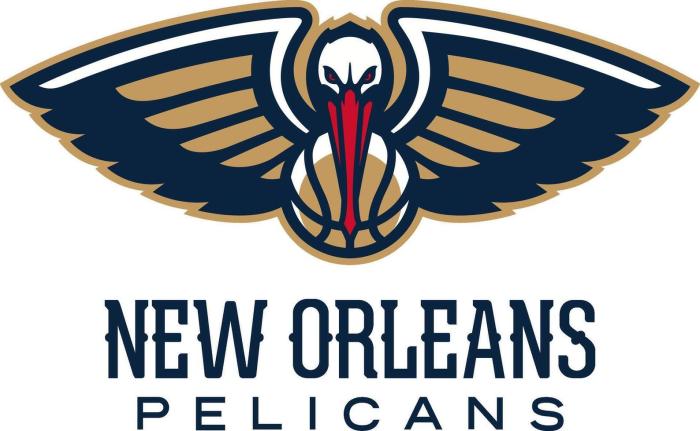 Baby Pelicans (Complete Guide with Pictures) | Birdfact Pelicans trey alexander signs two way deal with new orleans