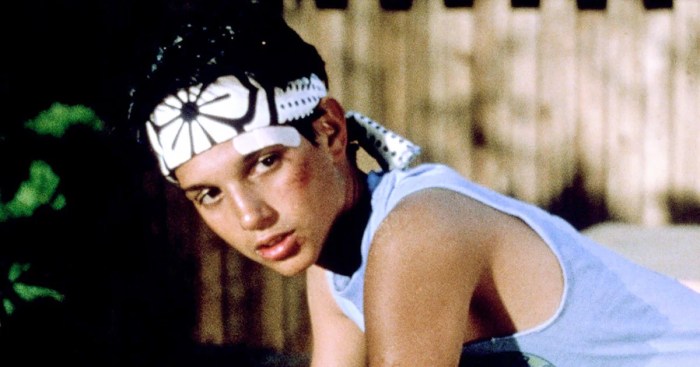 Ranking Karate Kid & 10 Best Combat Sports Movies Ever