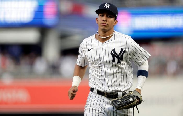 Oswaldo Cabrera Suffered Severe Ankle Injury During Yankees Game Yankees oswaldo cabrera put il fractured ankle injury after exit ambulance