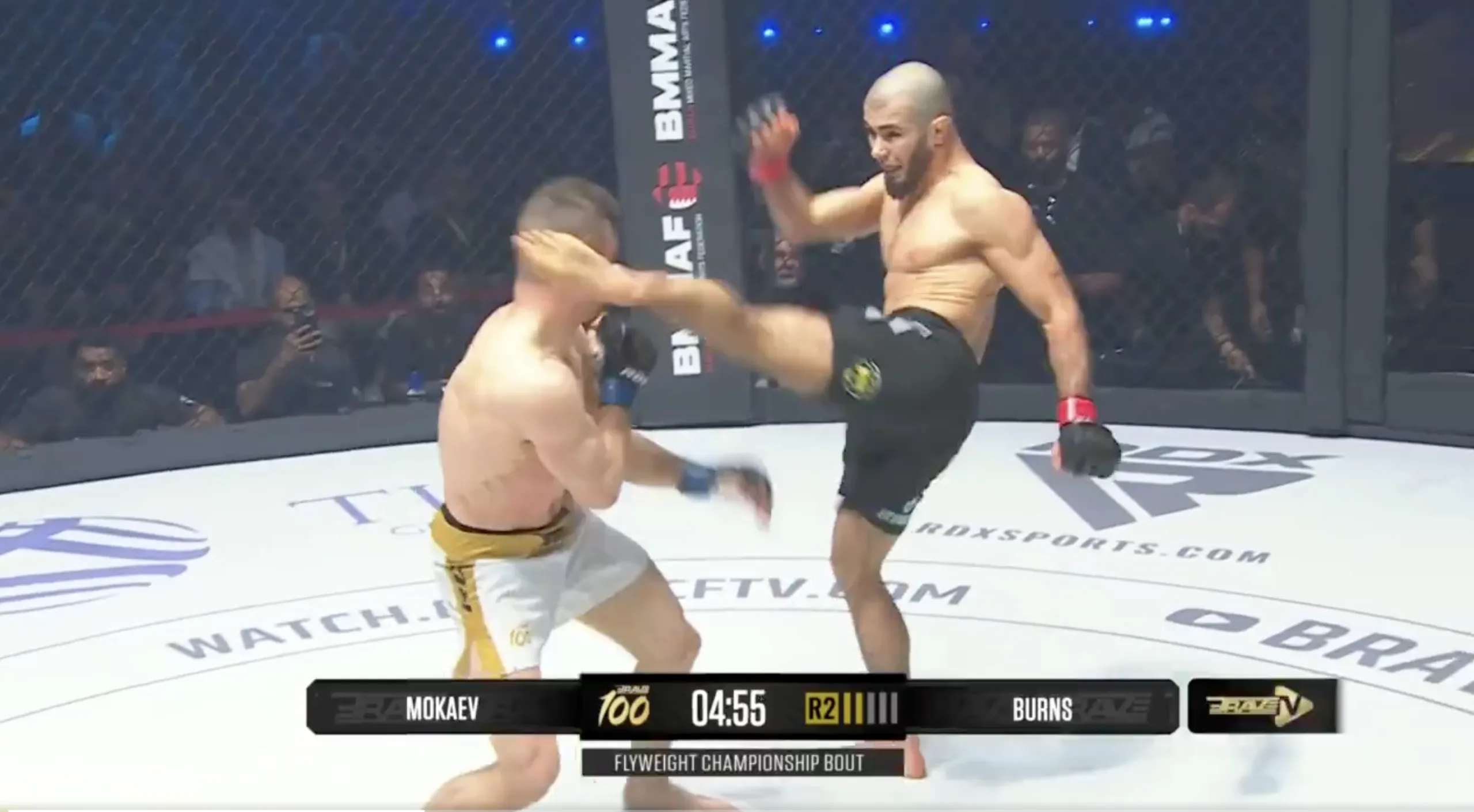 Mokaev Claims Brave CF Flyweight Championship with Second-Round Head Kick Knockout at Landmark Event