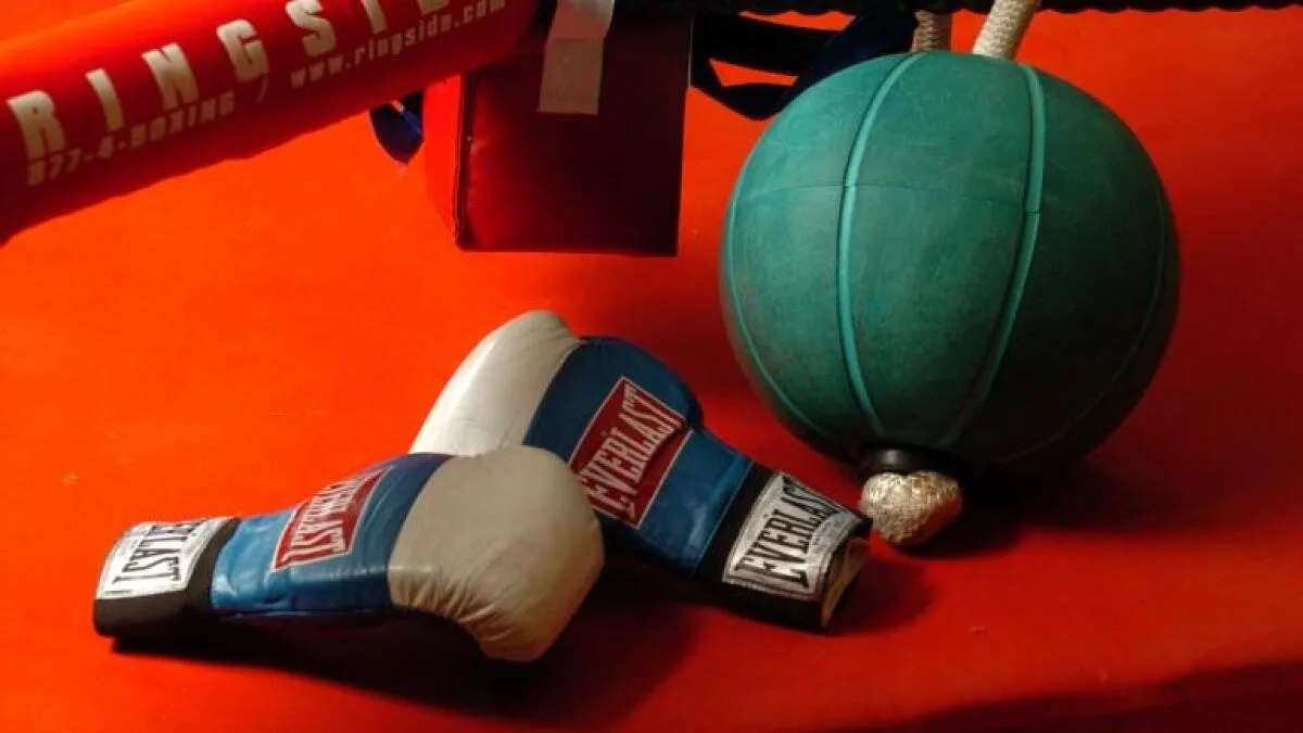 Arturo Gatti Jr., Aspiring Boxer and Son of Late Champion, Dies at 17