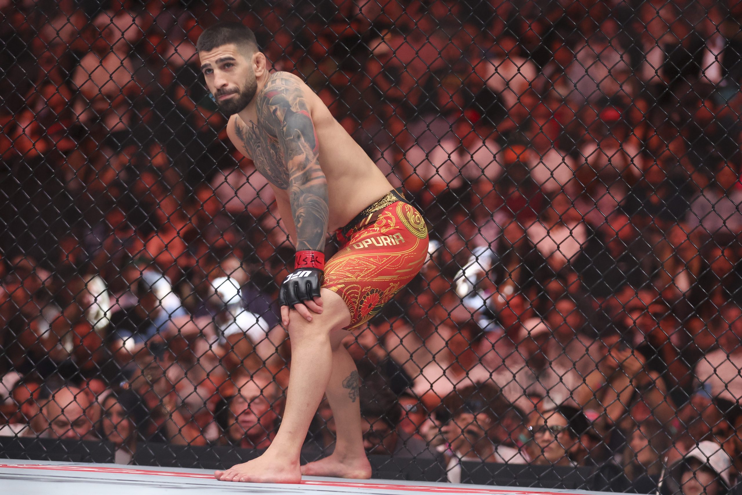 Ilia Topuria’s Unyielding Path: How Childhood Adversity Forged a UFC Featherweight Champion