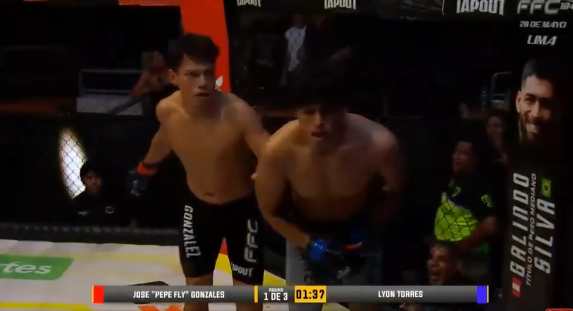 Controversial Knockout Marred by Uncalled Low Blow in FFC Peru Bout