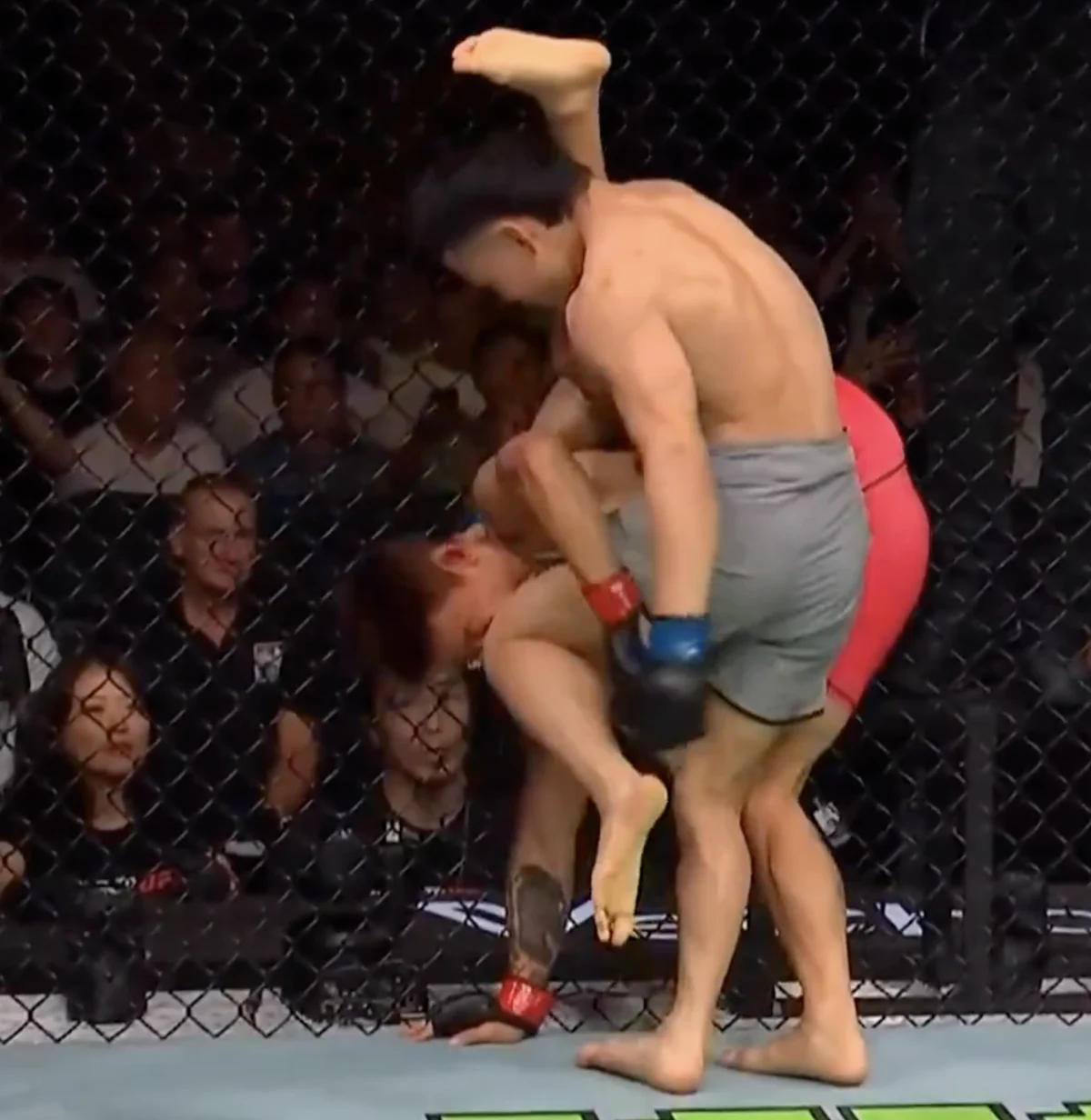 Namsrai Batbayar Secures UFC Contract with Controversial Knee Knockout at Road to UFC Final